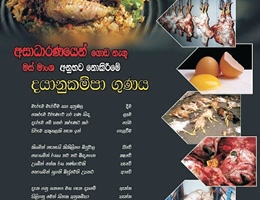 chandana13.jpg