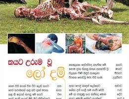 chandana23.jpg