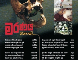 chandana26.jpg