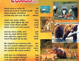 chandana39.jpg