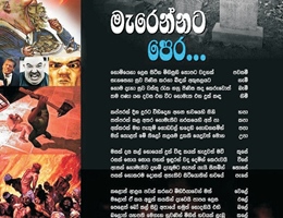 chandana33.jpg