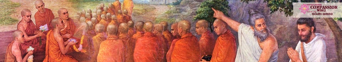 නොදැන කලත් වැරදීමක්මක් නම් නැත!