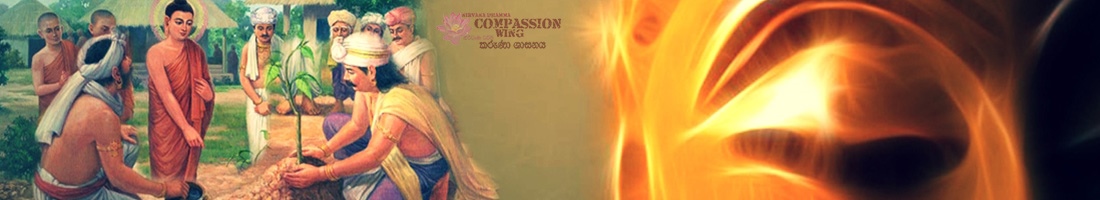 කරුණාබර දිවිය