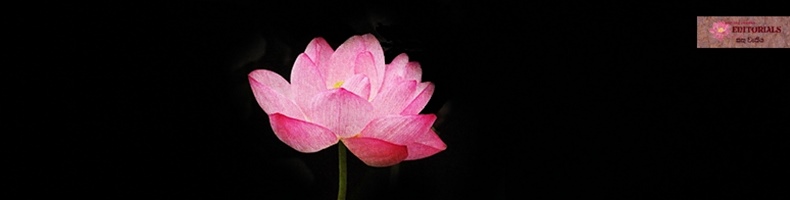 සරලව වටහාගන්න!