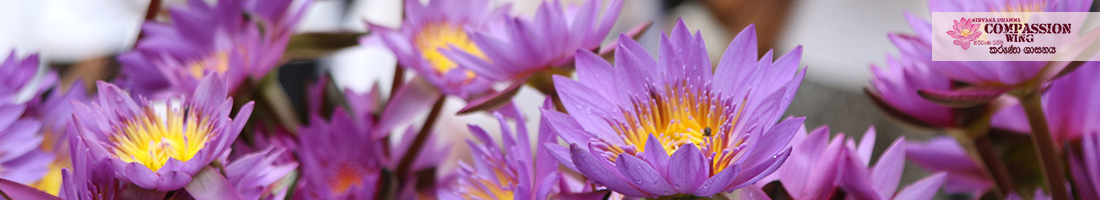 නිවීමට උපකාර වන මල් පූජාව