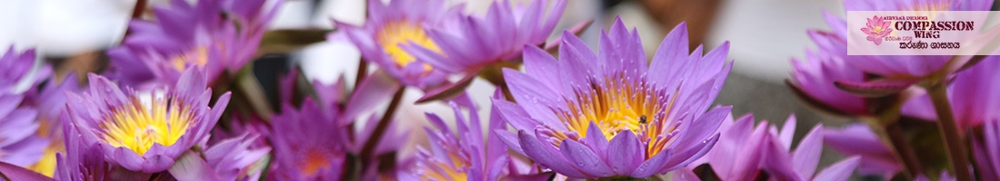 නිවීමට උපකාර වන මල් පූජාව