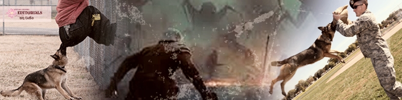 සොල්දාදුවෙක් ද? නැත්නම්....???