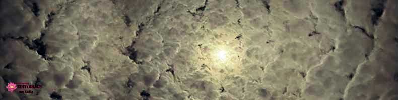 පිරිහෙන්නට කැමති ද?