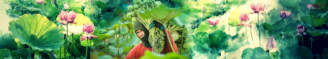 (සුවඳ) සොරුන් වෙත