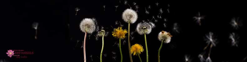 දැකිය යුතු ධර්ම තුනක්