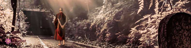 සැබෑ යෝගාවචරයාගේ අනුහස් පහ