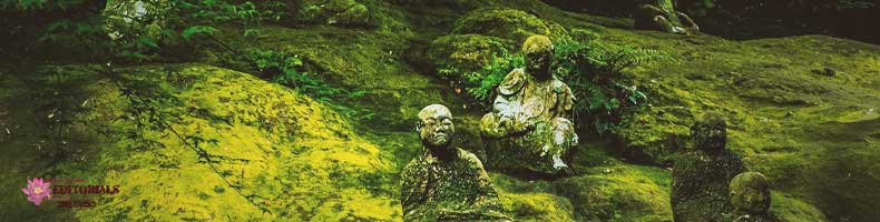 බුදු සසුන අතුරුදන් නොකිරීම පිණිස