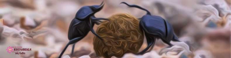 ගොම කුරුමිණියාගේ සුභ වසර!