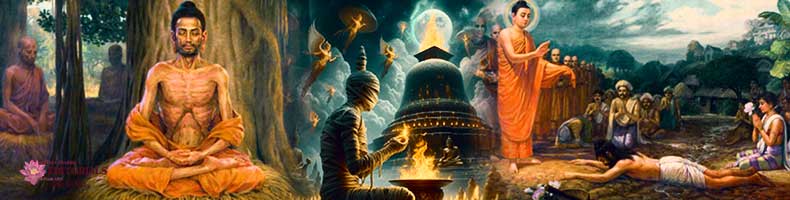 නොවැරදුන දිවි පිදුම