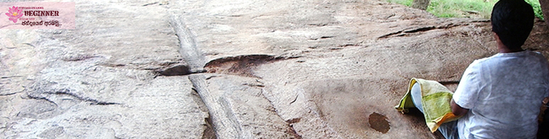 බුදු දහම තුල ශුද්ධ වූ ග්‍රන්ථ තිබේද?