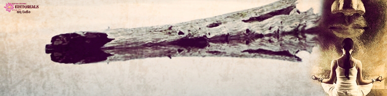 පාවෙන දර කඳ ඔබ යැයි සිතන්න!  (03 කොටස)