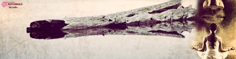 පාවෙන දර කඳ ඔබ යැයි සිතන්න!  (03 කොටස)