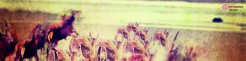 දිනුවේ කව්රුන්ද? පැරදුනේ කව්රුන්ද?