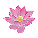 1. සතර සතිපට්ඨානය විද බැලූ දිනයක් (602 Mb)