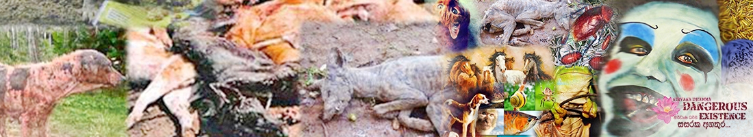 තිරිසන් අපා දුක