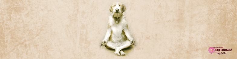 කරුණාවයි, මෛත්‍රියයි කියලා විශ්වාසද? (01 කොටස)