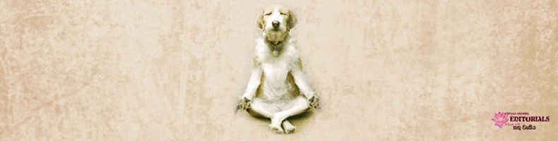 කරුණාවයි, මෛත්රියයි කියලා විශ්වාසද? (01 කොටස)