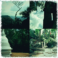 සල්ගල ආරණ්‍ය සේනාසනය