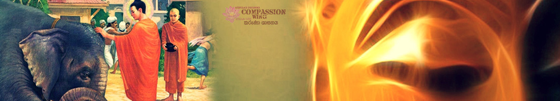 සියලු සතට කරුණාව