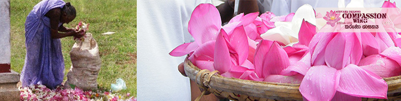 මල පරවෙන සේ පරවන මේ කය