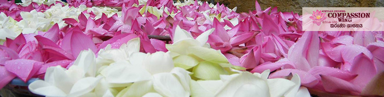 මල් පුජාවේ ආනිශංස