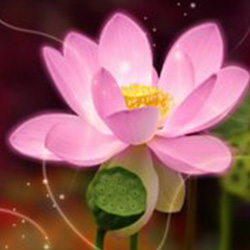 කාශ්‍යප බුදු හිමි කල උපාසක