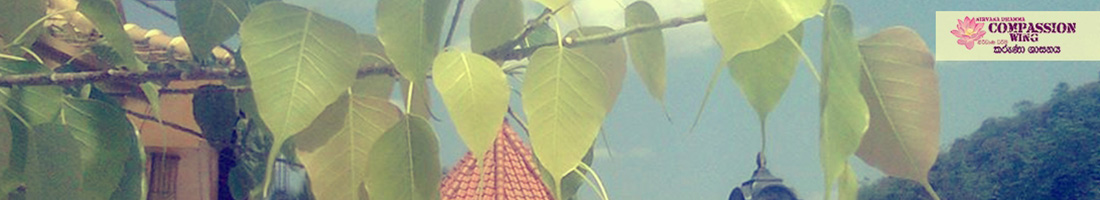 බෝධි පූජා