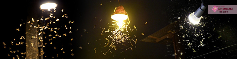 සත්දහම දකිනවද? රකිනවද?