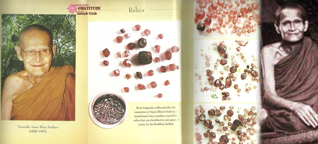 උතුම් දිවියෙන් බිඳක්