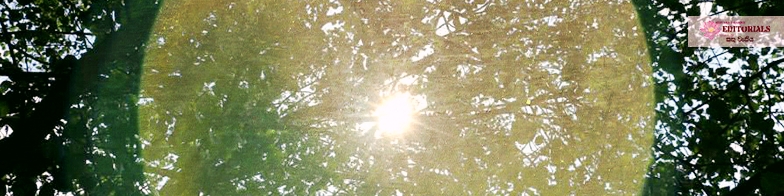 අරුත්බර වසරකට මුල පුරමු!