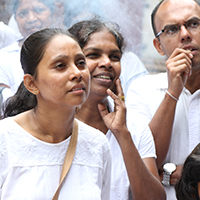 2016 නොවැම්බර් - අත්තනගල්ල, ගම්පහ