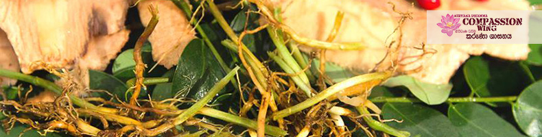 ඖෂධ පූජා කරන ගාථා