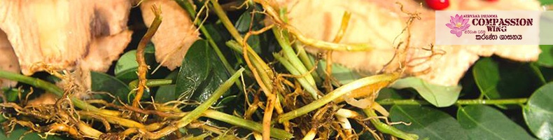 ඖෂධ පූජා කරන ගාථා