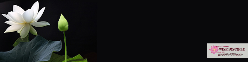 මඩෙන් විමුක්ත වූ නෙළුම් මල!