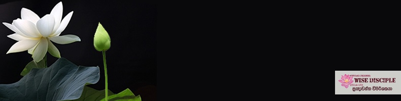 මඩෙන් විමුක්ත වූ නෙළුම් මල!