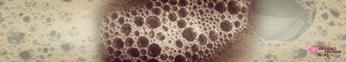 රූප ස්කන්ධය හඳුනාගනිමු