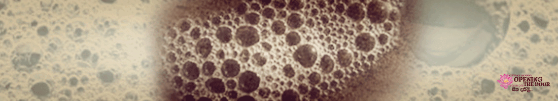 රූප ස්කන්ධය හඳුනාගනිමු