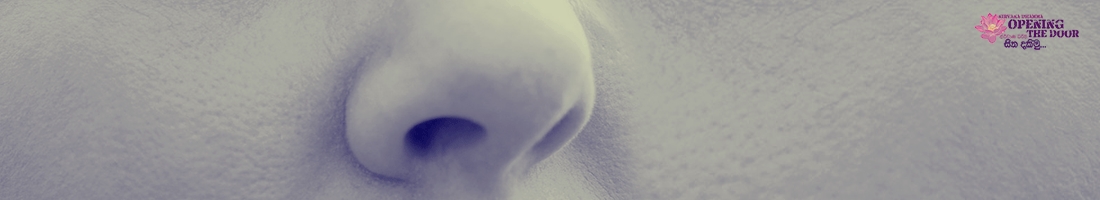 ඝානායතන