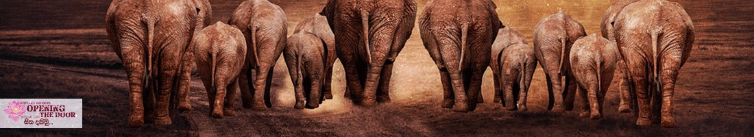 පඨවි ධාතු