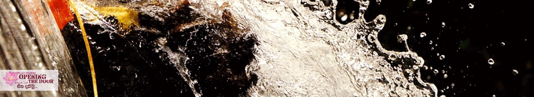 ආපො ධාතු