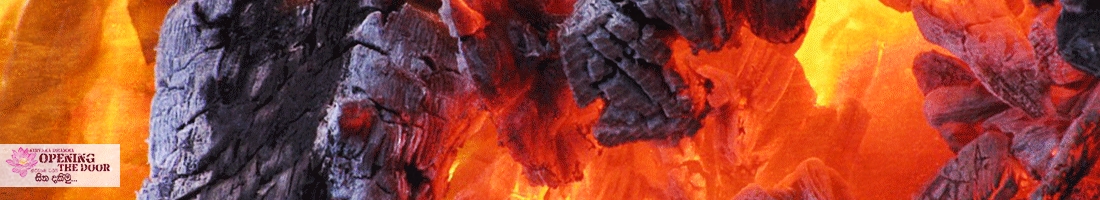 තෙජො ධාතු