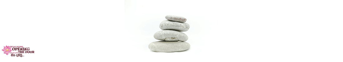 සිවු අරි සස් හඳුනාගනිමු