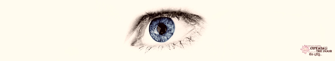 චක්ඛු ඉන්ද්‍රිය