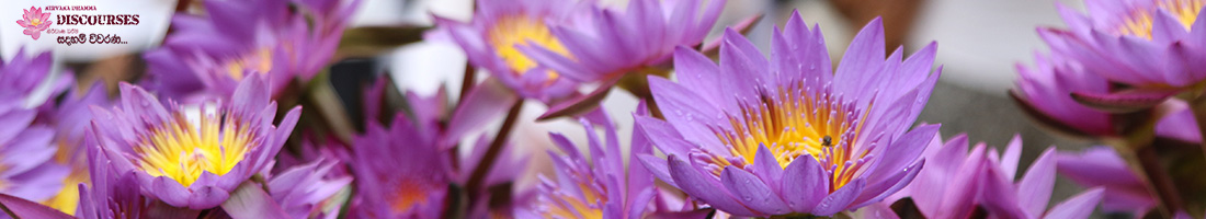 කතා කරන දහම් පොත්